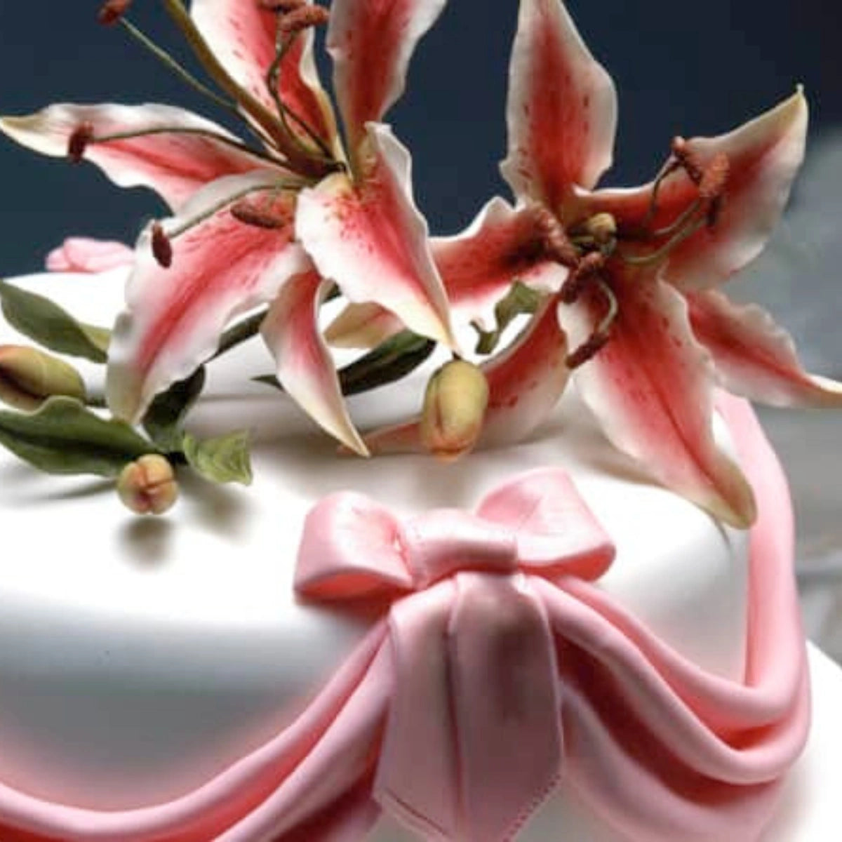White Fondant Pettinice RTR Icing Mb Delivered 7kg - Bakels