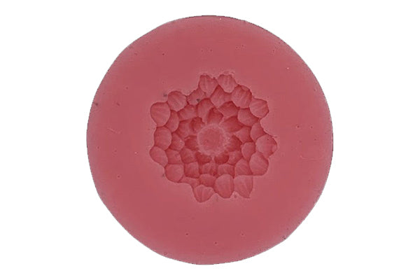Chrysanthemum C25 - Carolines