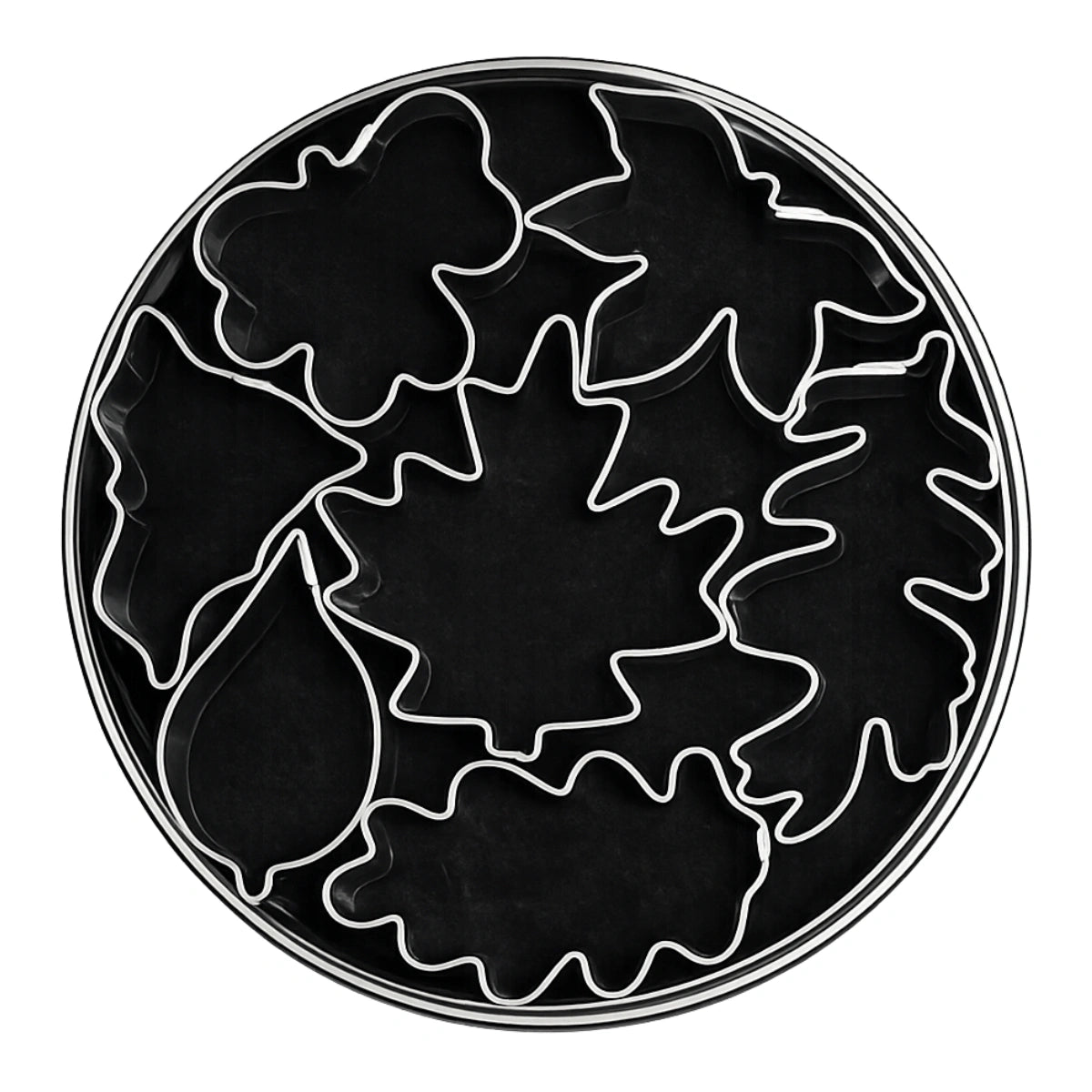 T P Cutter Autumn Leaves - Loyal