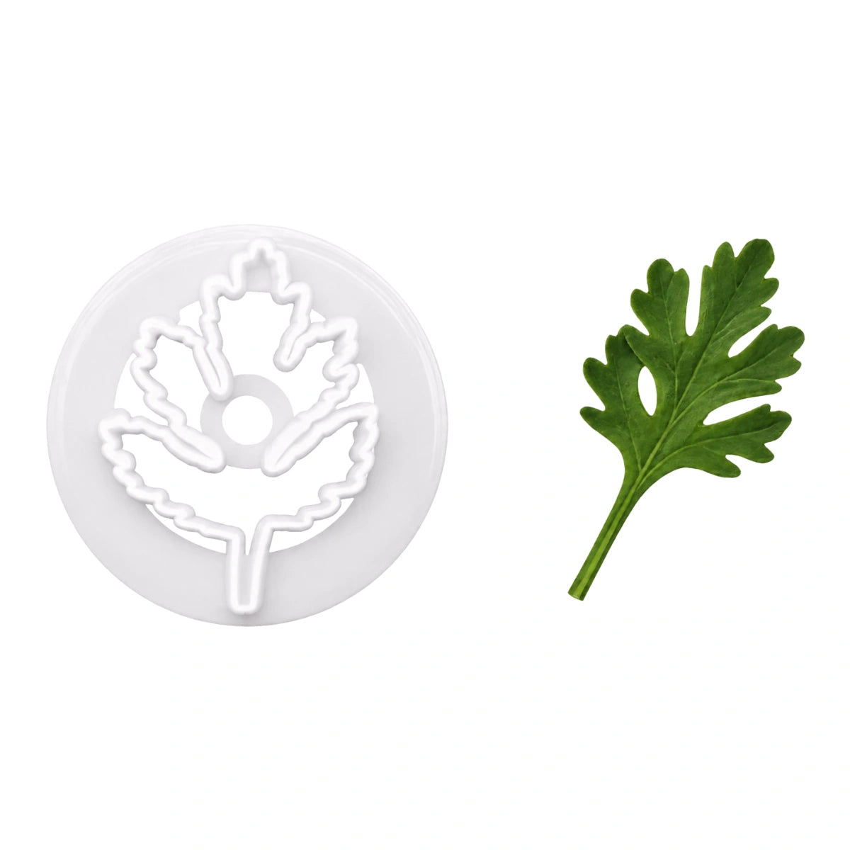 Chrysanthemum Leaf Cutter - FMM