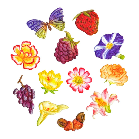 Flowers and Fruit Tappit Set - FMM