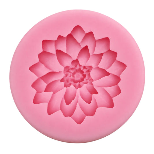 Dahlia D50 - Carolines
