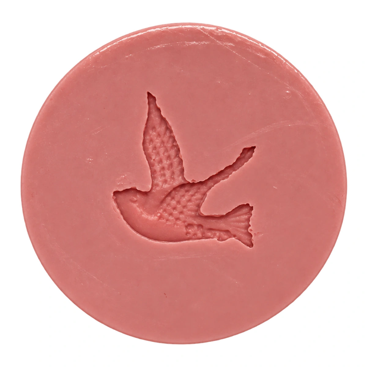 Dove Dv18 - Carolines