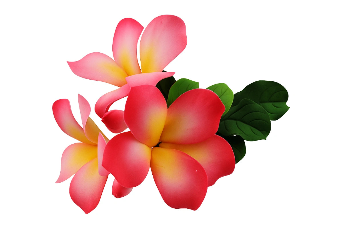 Pink Large Full Bloom Plumeria Frangipani Bouquet - Sweet Sugar Flowers