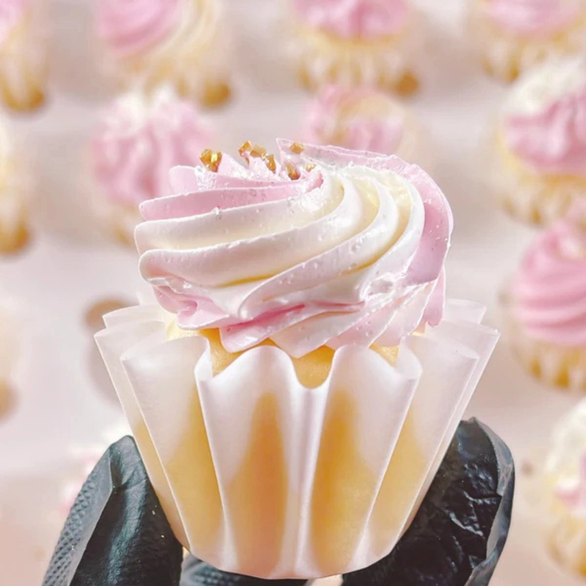 White 48pack More Mini Cuppies (48 Pack) - Moreish by Monica Cavallaro