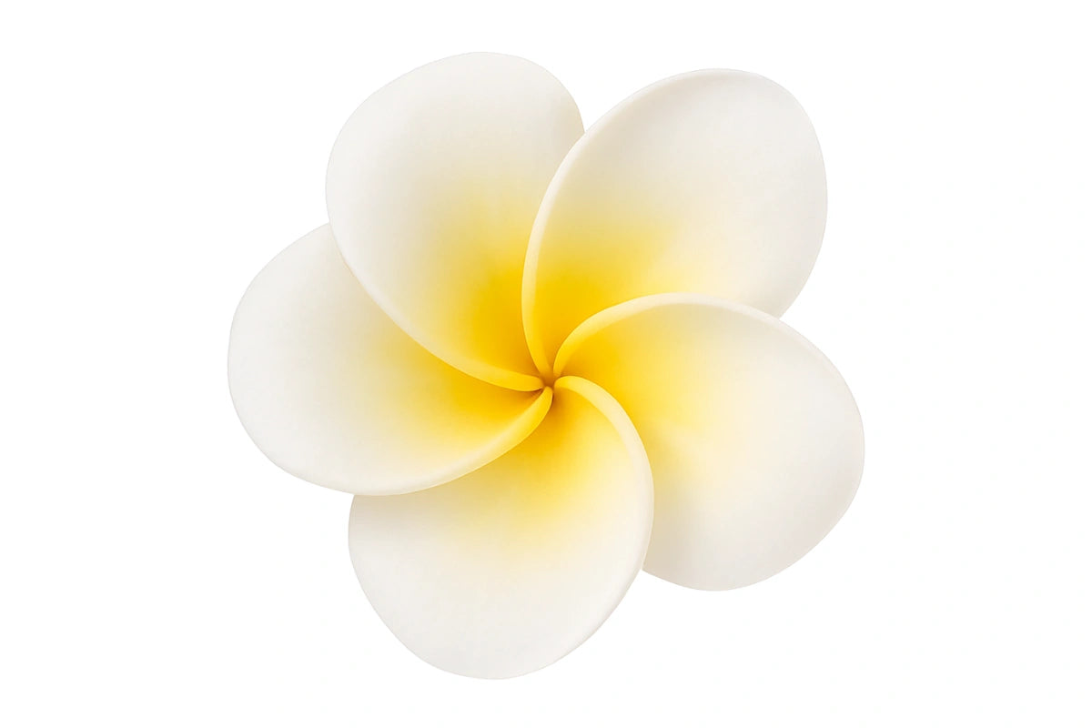 Yellow Single Medium Frangipani 4cm - Sweet Sugar Flowers