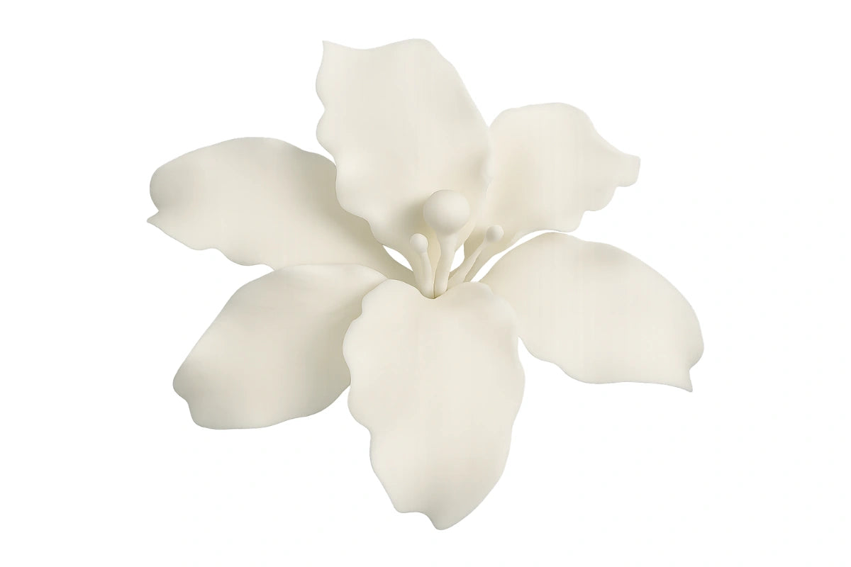 White Single Stargazer Lily - Sweet Sugar Flowers