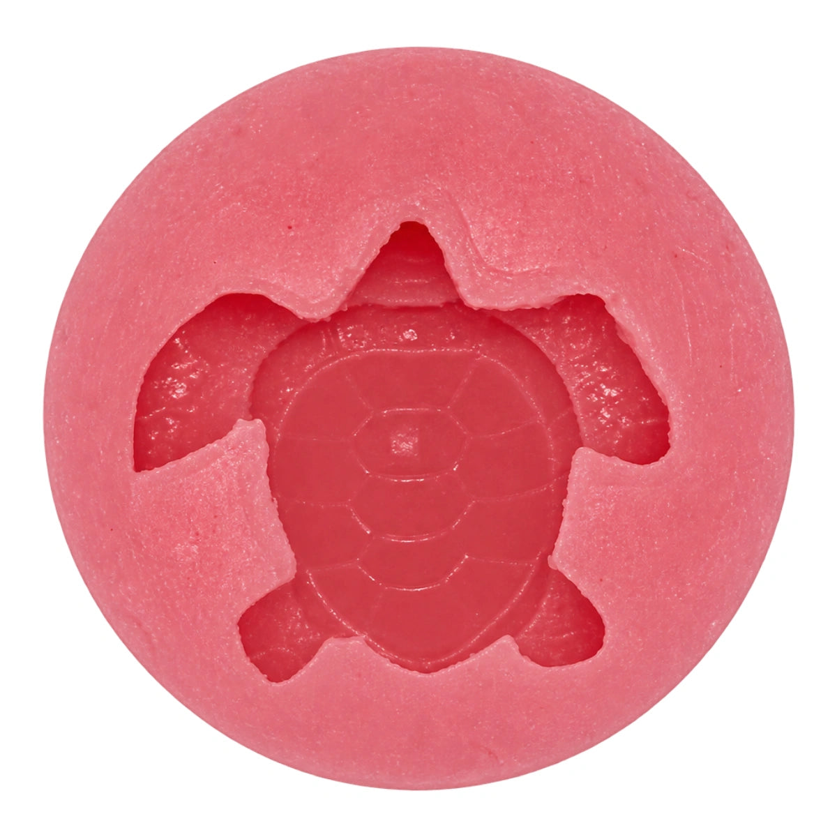 Turtle T35 - Carolines