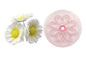 (150mm 2 Inch) Eight Petal Daisy - Cutters 50mm - JEM