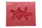 2 Frangipani 45mm - Carolines
