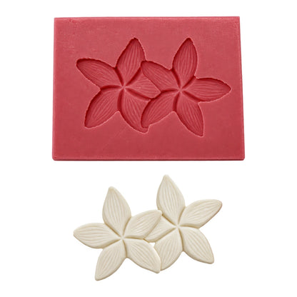 2 Frangipani 45mm - Carolines