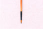 ROUND TIP PAINT BRUSH RENOIR - Size 6