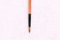 ROUND TIP PAINT BRUSH RENOIR - Size 8