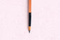 ROUND TIP PAINT BRUSH RENOIR - Size 10