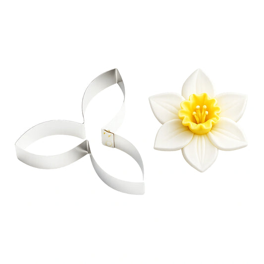 Medium Daffodil - Carolines