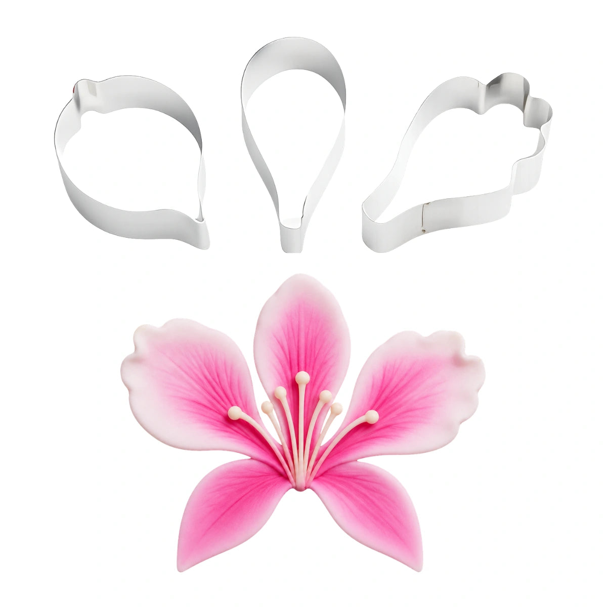 Bauhinia Large C197a - Carolines