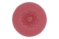 Chrysanthemum C25 - Carolines