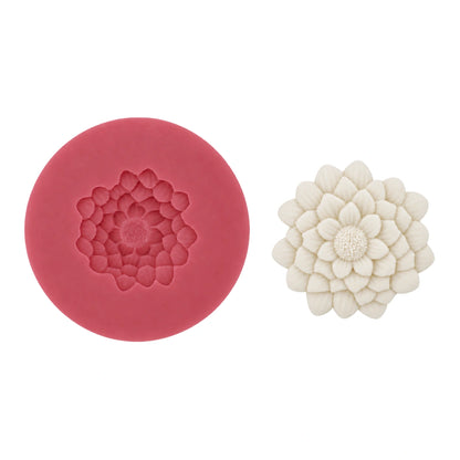 Chrysanthemum C25 - Carolines