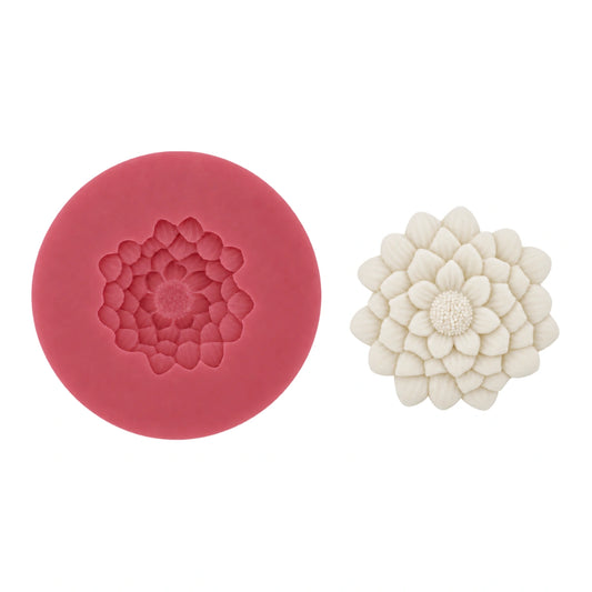 Chrysanthemum C25 - Carolines