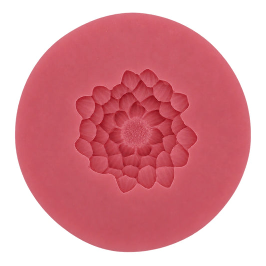 Chrysanthemum C25 - Carolines
