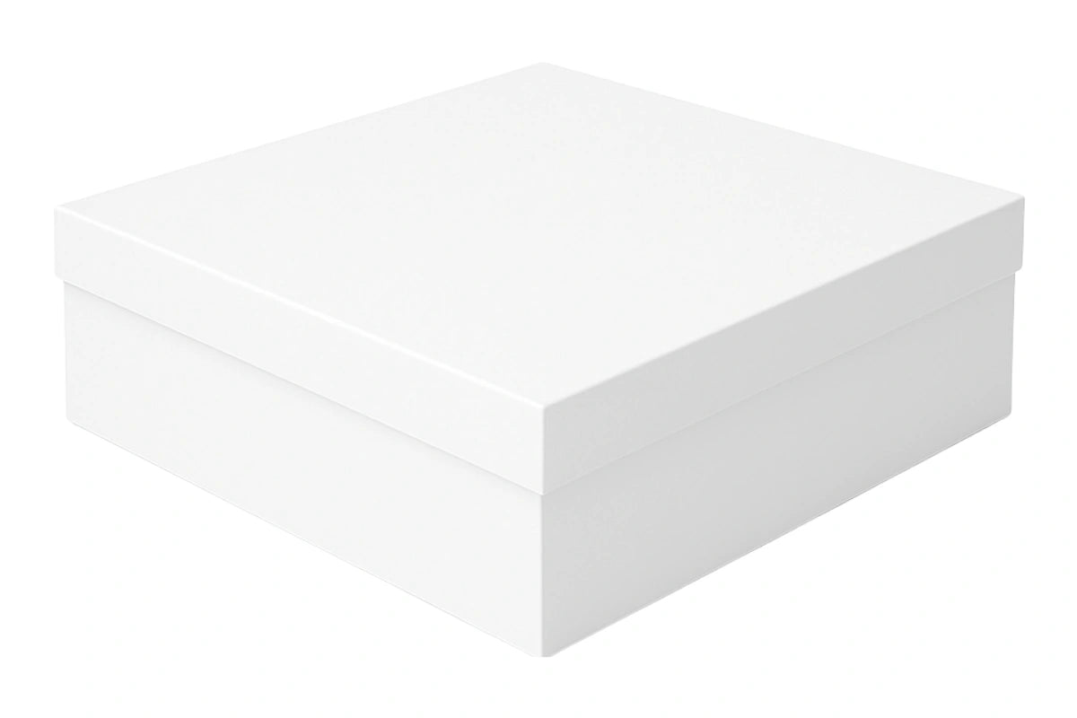 CAKE BOXES WHITE LID - 20 x 20 x 6in