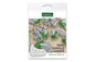 Mini Jungle Leaves Silicone Mould - Katy Sue