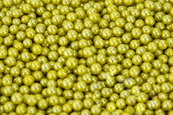 Metallic Gold 1kg Edible Cachous Pearls 6mm - Iconic Sprinkles