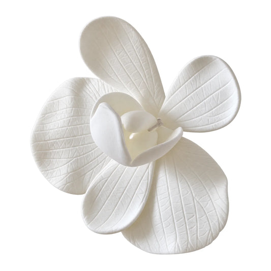 Large Moth Phalaepnosis Orchid 11cm - Sweet Sugar Flowers