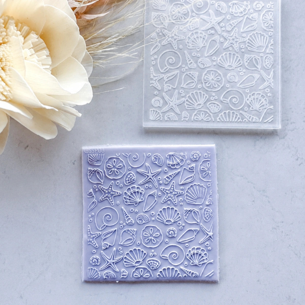 The Seashore Pattern Debosser (Cake Sera ) - Custom Cookie Cutters