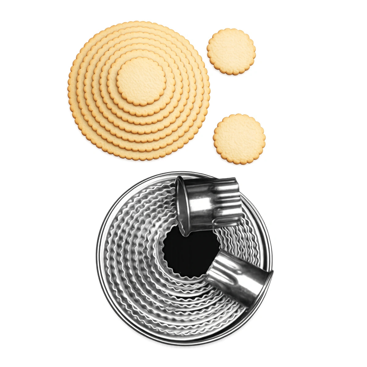 T P Cutter Scalloped Round 11 - Loyal