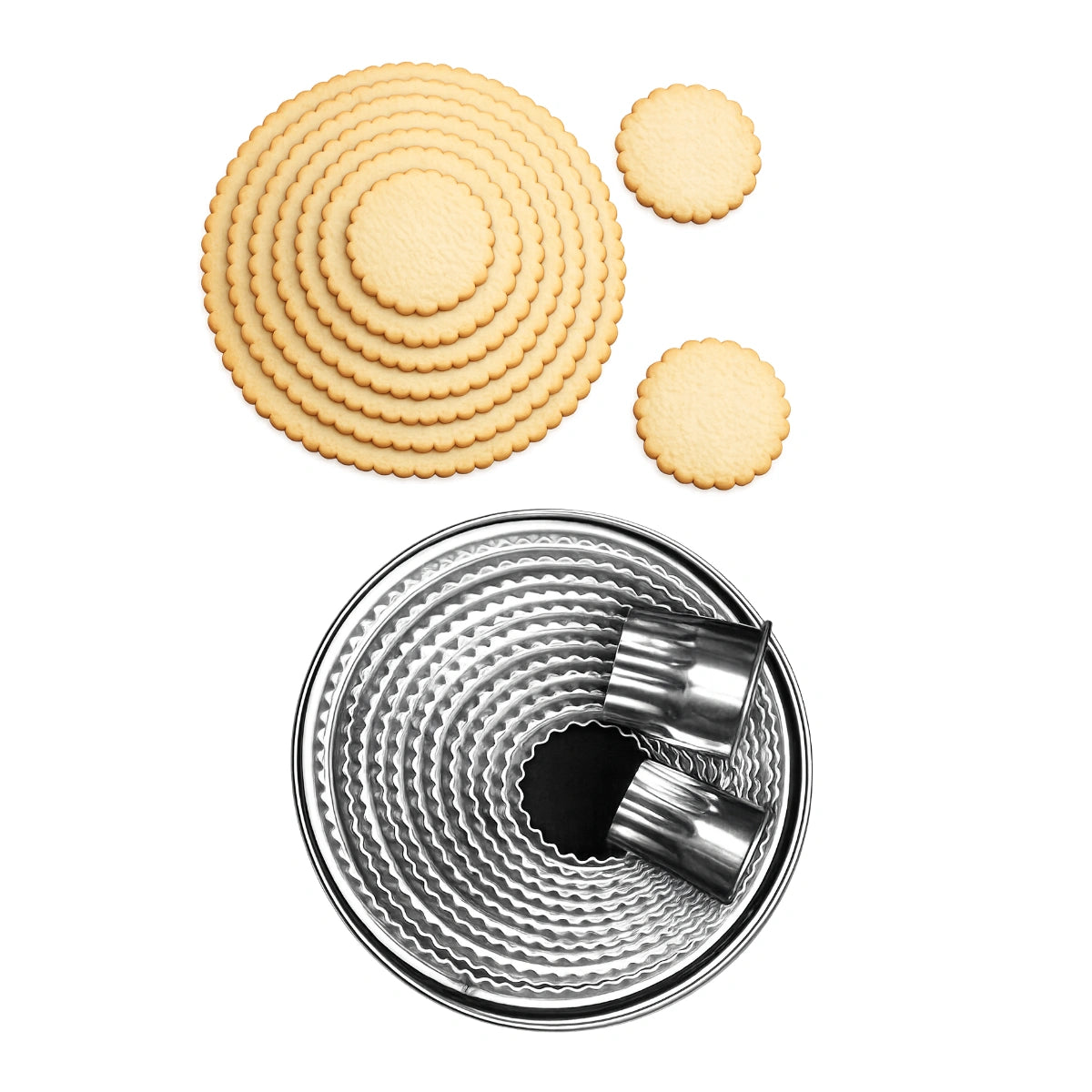 T P Cutter Scalloped Round 14 - Loyal