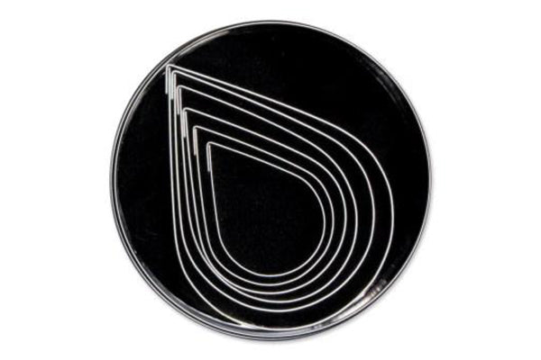 T P Cutter Plain Teardrop - Loyal