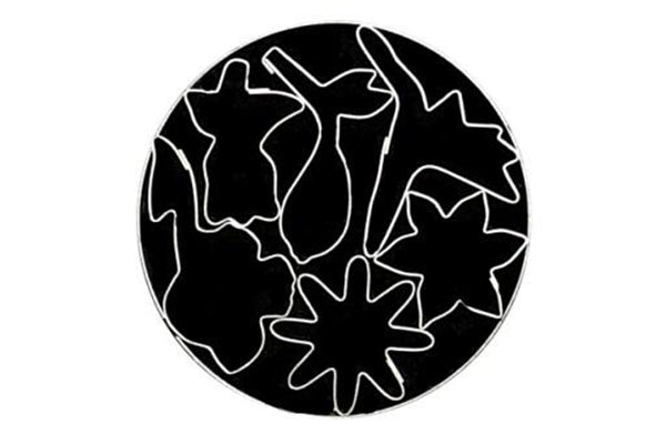 T P Cutter Flower - Loyal