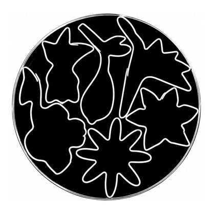 T P Cutter Flower - Loyal