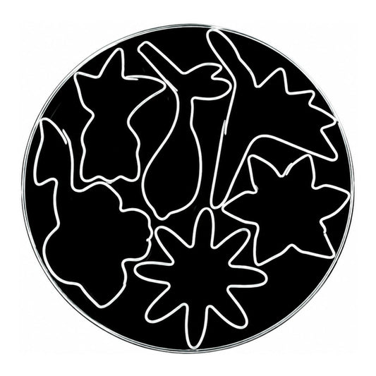 T P Cutter Flower - Loyal