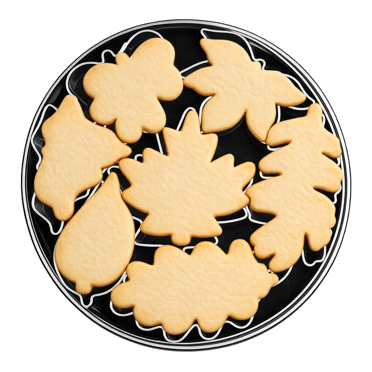 T P Cutter Autumn Leaves - Loyal