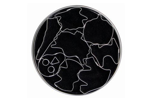 T P Cutter Ghost and Witches - Loyal