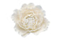White Curled PeonyTopper 14cm - Sweet Sugar Flowers