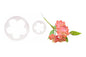 Large Blossom Set - FMM
