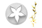 Calyx Jasmin Cutter - FMM