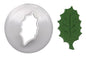 Large Holly Leaf Cutter - FMM