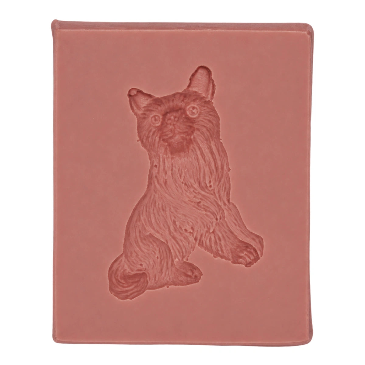 Dog D27 - Carolines