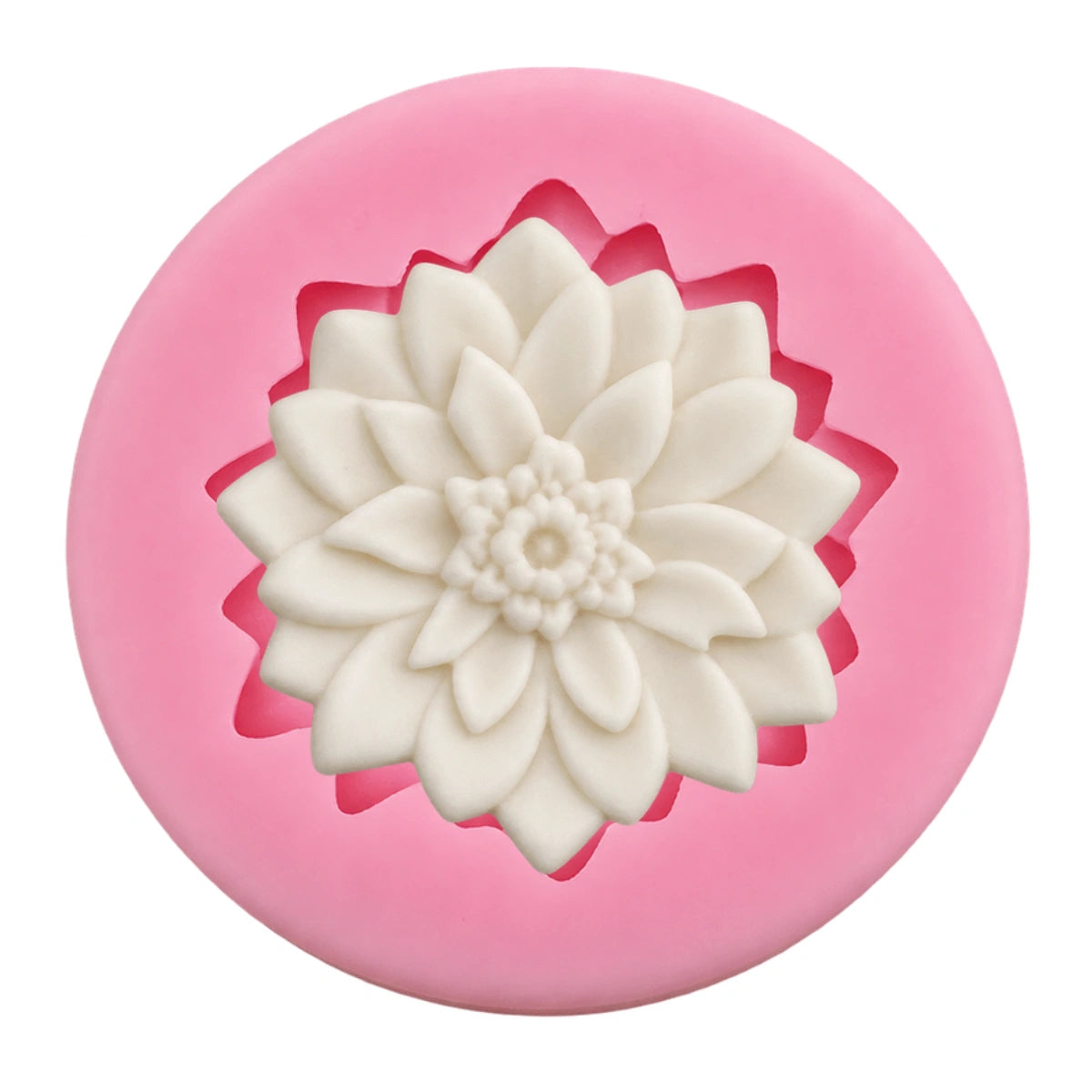 Dahlia D50 - Carolines