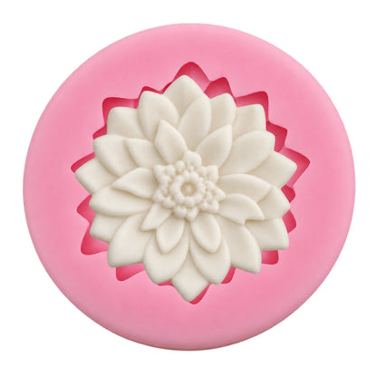 Dahlia D50 - Carolines