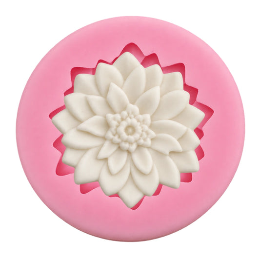 Dahlia D50 - Carolines
