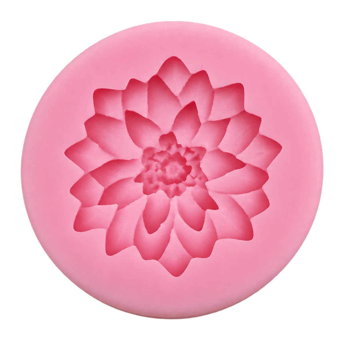 Dahlia D50 - Carolines