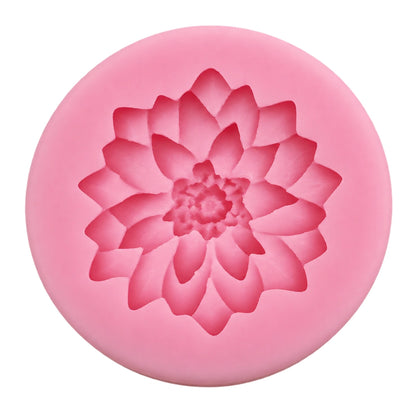 Dahlia D50 - Carolines