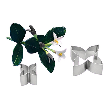 Cutters - Daphne Flower Petal (2 Pack) - PME