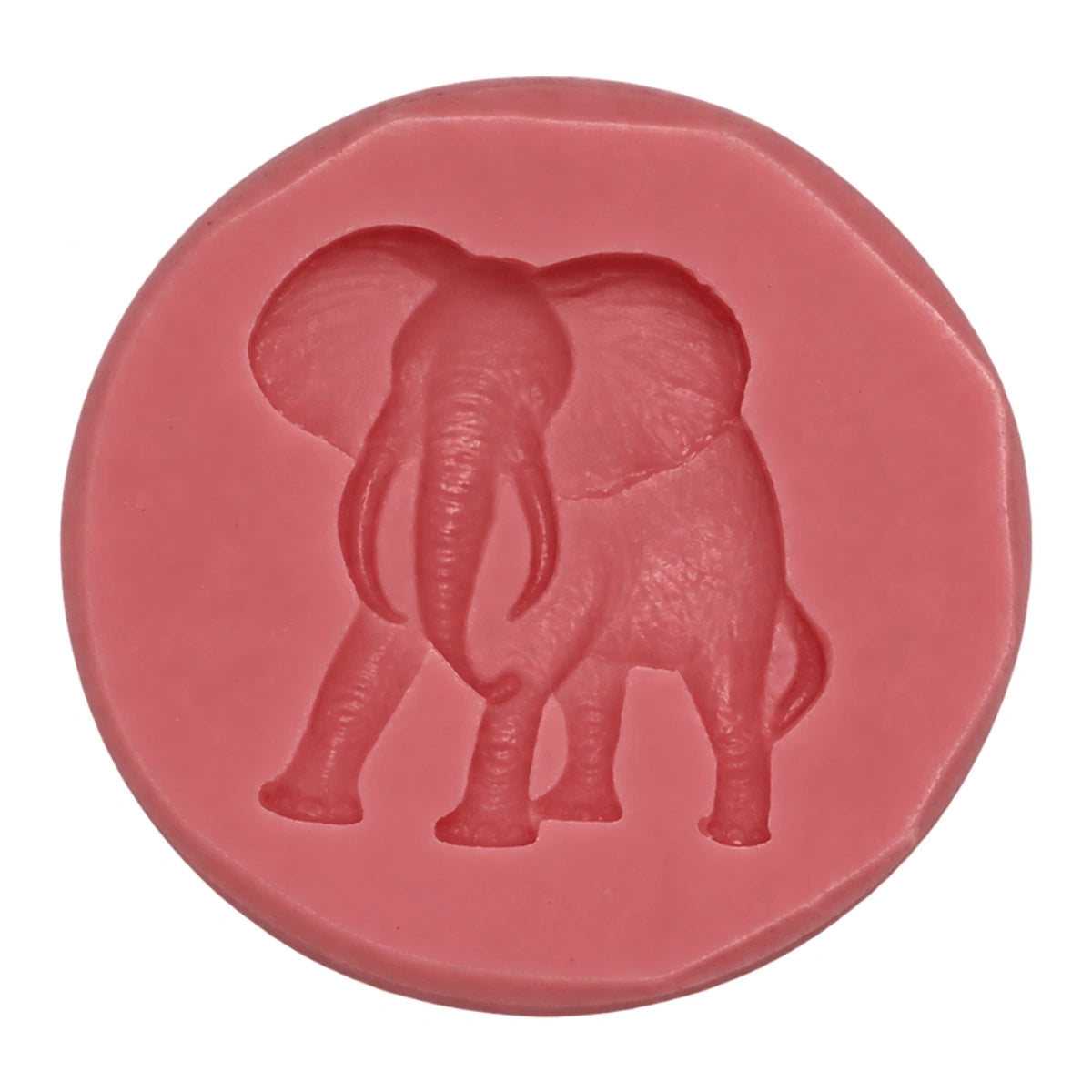 Elephant E47 - Carolines