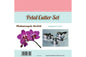 Phalanopsis Orchid - Petal Cutter Set - Gateau Art